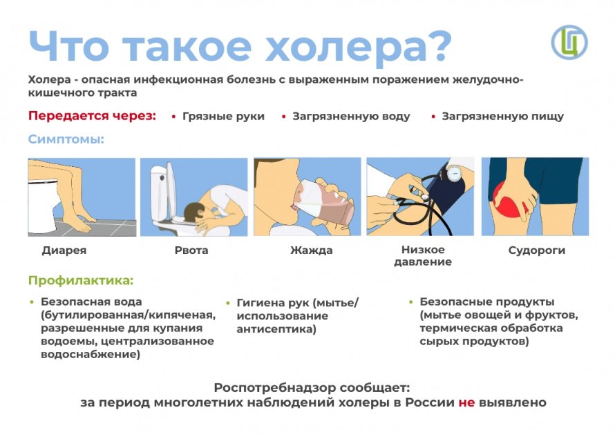 КАК ЗАЩИТИТЬ СЕБЯ ОТ ХОЛЕРЫ? 