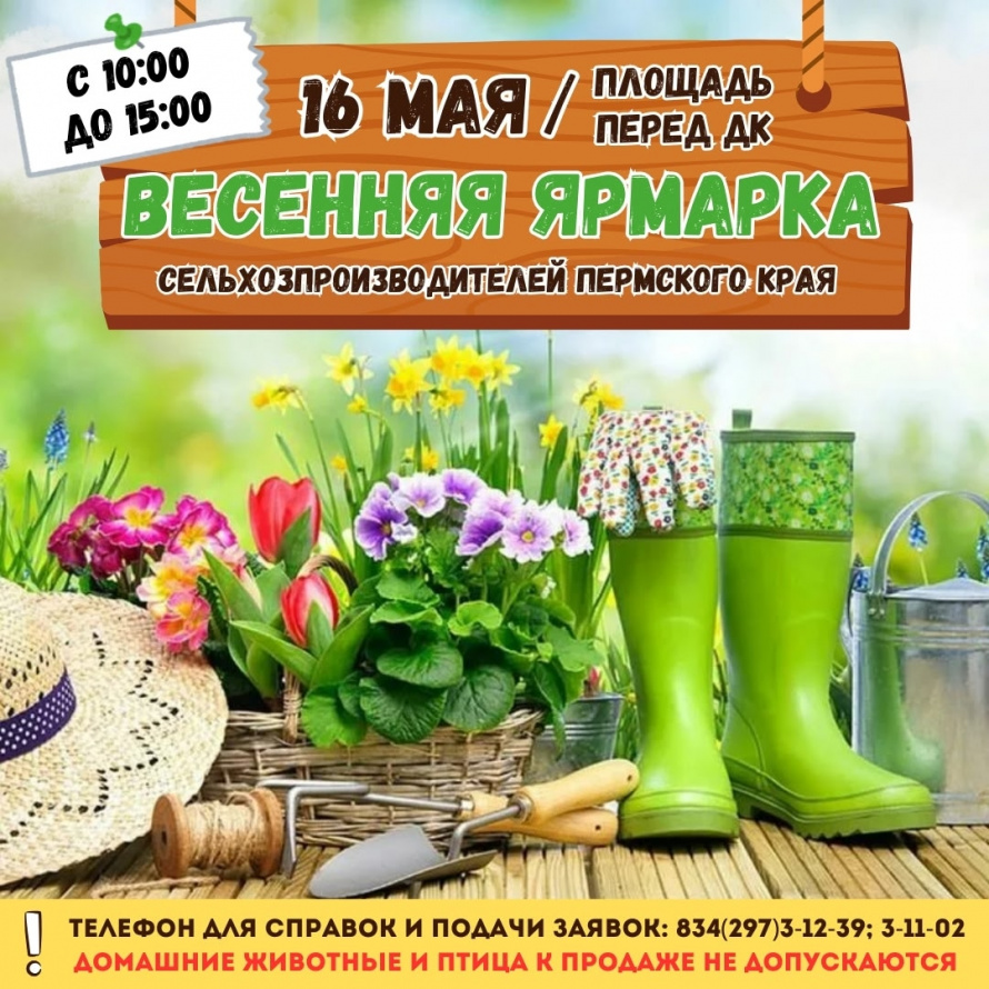 СЕЛЬСКОХОЗЯЙСТВЕННАЯ ЯРМАРКА 